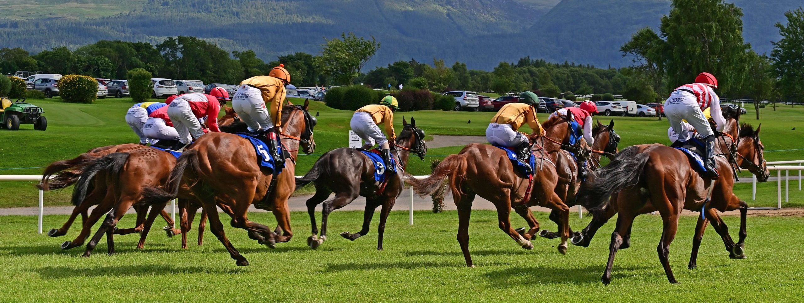 Horses racing on a racetrack